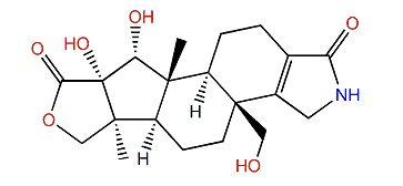 Spongiain B